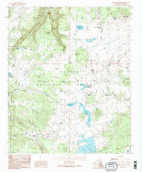 Download a high-resolution, GPS-compatible USGS topo map for Big Lake North, AZ (1991 edition)