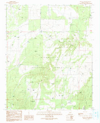 Download a high-resolution, GPS-compatible USGS topo map for Big Pug Tank, AZ (1991 edition)