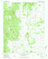 Download a high-resolution, GPS-compatible USGS topo map for Bishop Lake, AZ (1981 edition)