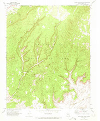 Download a high-resolution, GPS-compatible USGS topo map for Black Mesa Wash NE, AZ (1973 edition)
