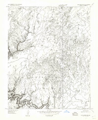 Download a high-resolution, GPS-compatible USGS topo map for Blue Spring NE, AZ (1957 edition)