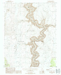 Download a high-resolution, GPS-compatible USGS topo map for Blue Spring, AZ (1988 edition)