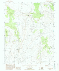 Download a high-resolution, GPS-compatible USGS topo map for Bodaway Mesa, AZ (1988 edition)