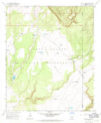 Download a high-resolution, GPS-compatible USGS topo map for Bonito Prairie, AZ (1971 edition)