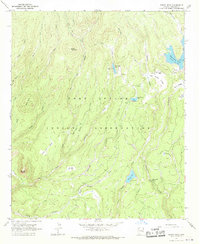 Download a high-resolution, GPS-compatible USGS topo map for Bonito Rock, AZ (1970 edition)