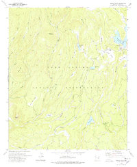 Download a high-resolution, GPS-compatible USGS topo map for Bonito Rock, AZ (1978 edition)