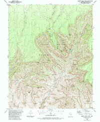 Download a high-resolution, GPS-compatible USGS topo map for Bright Angel Point, AZ (1988 edition)