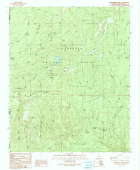 Download a high-resolution, GPS-compatible USGS topo map for Brookbank Point, AZ (1991 edition)
