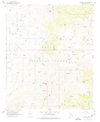 Download a high-resolution, GPS-compatible USGS topo map for Brooklyn Peak, AZ (1977 edition)