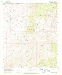 Download a high-resolution, GPS-compatible USGS topo map for Brooklyn Peak, AZ (1968 edition)