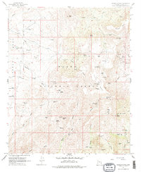 Download a high-resolution, GPS-compatible USGS topo map for Brooklyn Peak, AZ (1977 edition)