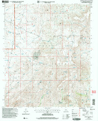Download a high-resolution, GPS-compatible USGS topo map for Brooklyn Peak, AZ (2006 edition)