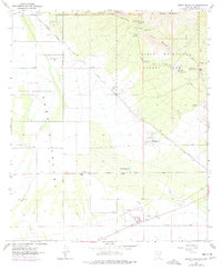 Download a high-resolution, GPS-compatible USGS topo map for Brown Mountain, AZ (1977 edition)