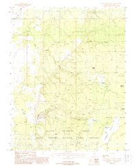 Download a high-resolution, GPS-compatible USGS topo map for Buck Pasture Canyon, AZ (1988 edition)