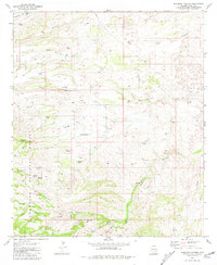 Download a high-resolution, GPS-compatible USGS topo map for Buehman Canyon, AZ (1981 edition)