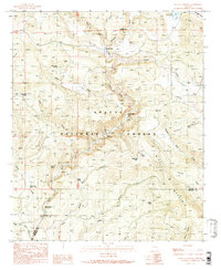 Download a high-resolution, GPS-compatible USGS topo map for Buffalo Crossing, AZ (1991 edition)