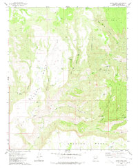 Download a high-resolution, GPS-compatible USGS topo map for Burro Mesa, AZ (1980 edition)