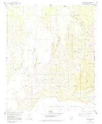 Download a high-resolution, GPS-compatible USGS topo map for Burro Mesa, AZ (1992 edition)