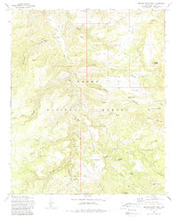 Download a high-resolution, GPS-compatible USGS topo map for Buzzard Roost Mesa, AZ (1988 edition)