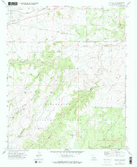 Download a high-resolution, GPS-compatible USGS topo map for Cactus Flat, AZ (1973 edition)