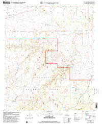 Download a high-resolution, GPS-compatible USGS topo map for Cactus Flat, AZ (2000 edition)