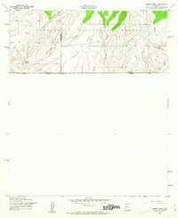 Download a high-resolution, GPS-compatible USGS topo map for Campini Mesa, AZ (1963 edition)