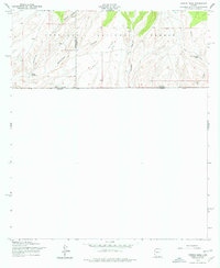 Download a high-resolution, GPS-compatible USGS topo map for Campini Mesa, AZ (1977 edition)