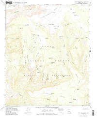Download a high-resolution, GPS-compatible USGS topo map for Cane Springs Mountain, AZ (1985 edition)
