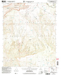 Download a high-resolution, GPS-compatible USGS topo map for Cane Springs Mountain, AZ (2006 edition)