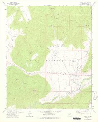Download a high-resolution, GPS-compatible USGS topo map for Canyon Day, AZ (1978 edition)