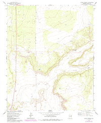 Download a high-resolution, GPS-compatible USGS topo map for Ceadro Spring, AZ (1985 edition)