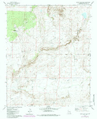 Download a high-resolution, GPS-compatible USGS topo map for Cedar Lake Wash, AZ (1984 edition)