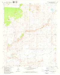 Download a high-resolution, GPS-compatible USGS topo map for Cedar Lake Wash, AZ (1979 edition)