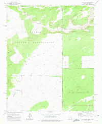 Download a high-resolution, GPS-compatible USGS topo map for Chafin Well, AZ (1975 edition)