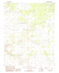 Download a high-resolution, GPS-compatible USGS topo map for Chamisa Tank, AZ (1988 edition)