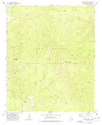 preview thumbnail of historical topo map of Navajo County, AZ in 1977