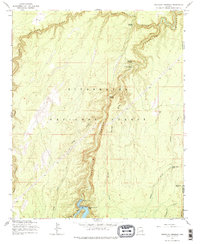 Download a high-resolution, GPS-compatible USGS topo map for Chevelon Crossing, AZ (1979 edition)