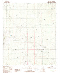 Download a high-resolution, GPS-compatible USGS topo map for Chief Butte, AZ (1989 edition)