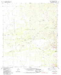 Download a high-resolution, GPS-compatible USGS topo map for Chiuli Shaik, AZ (1985 edition)