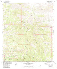 Download a high-resolution, GPS-compatible USGS topo map for Cochise Head, AZ (1983 edition)