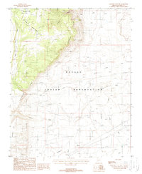 Download a high-resolution, GPS-compatible USGS topo map for Coconino Point SE, AZ (1988 edition)