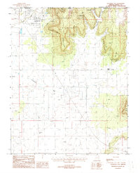 Download a high-resolution, GPS-compatible USGS topo map for Colorado City, AZ (1988 edition)