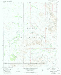Download a high-resolution, GPS-compatible USGS topo map for Copperosity Hills, AZ (1981 edition)