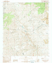 preview thumbnail of historical topo map of Greenlee County, AZ in 1989