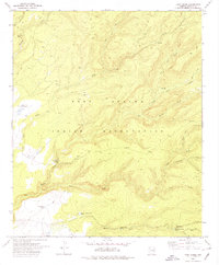Download a high-resolution, GPS-compatible USGS topo map for Corn Creek, AZ (1978 edition)