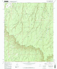 Download a high-resolution, GPS-compatible USGS topo map for Dane Canyon, AZ (1982 edition)