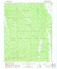 Download a high-resolution, GPS-compatible USGS topo map for De Motte Park, AZ (1988 edition)