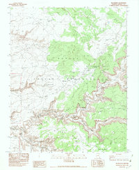 Download a high-resolution, GPS-compatible USGS topo map for Del Muerto, AZ (1983 edition)
