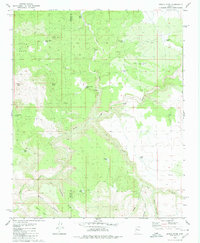 Download a high-resolution, GPS-compatible USGS topo map for Devils Hump, AZ (1980 edition)