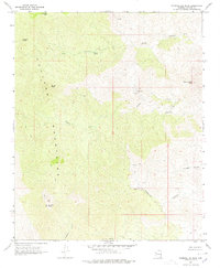 Download a high-resolution, GPS-compatible USGS topo map for Diamond Joe Peak, AZ (1978 edition)
